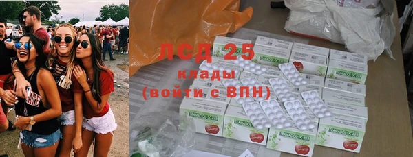 PSILOCYBIN Абинск