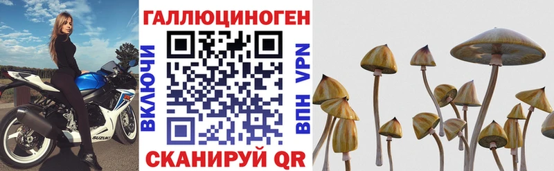 Псилоцибиновые грибы мухоморы  купить наркотики сайты  Никольск 